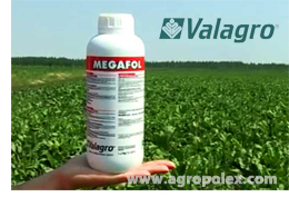 Megafol Valagro  -  11
