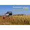 Кукуруза на зерно Технология выращивания