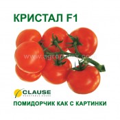 Томат Кристал купить индетерминантный урожайный томат Кристал с доставкойвсегда в наличии томат Кристал цена что вас порадует