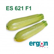 Кабачок ES 621 F1 Ergon