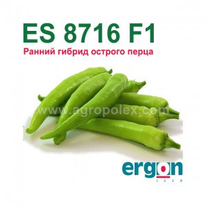Острый перец ES 8716 F1 Ergon