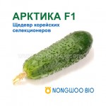 Огурец Арктика f1 NongWoo