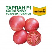 Купить семена розовых помидор Тарпан компании Нунемс Томат Тарпан ранний иурожайный Тарпан помидоры в интернет магазин семян Агрополекс лучшая цена