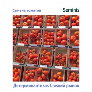 Детерм. томат Семинис свежий рынок 