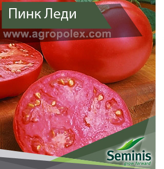 Розовые тепличные томаты ТОП 12