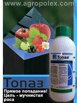 Фунгицид Топаз купить надежный Топаз для винограда препарат Топаз отмучнистой росы лучшая на Топаз цена в компании Агрополекс
